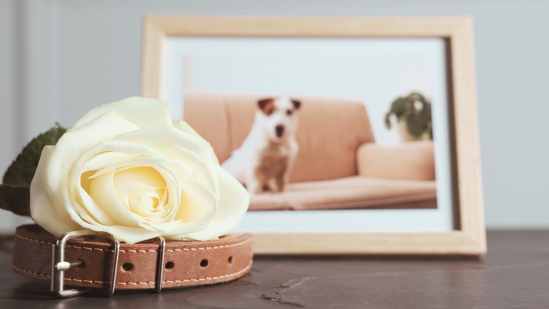 Een herinneringshoekje maken: zo geef je herinneringen een mooie plek in huis