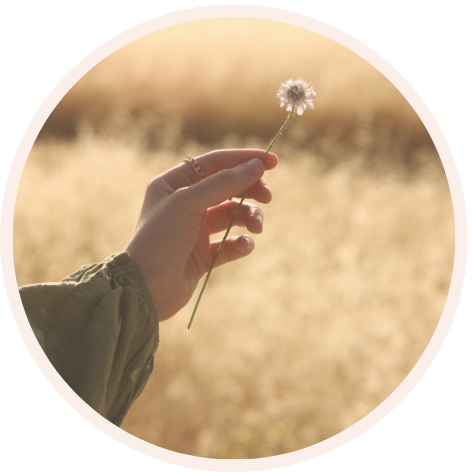 Rouwkaarsen voor volwassenen